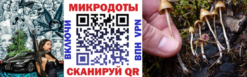 где найти   Горячий Ключ  mega ссылка  Галлюциногенные грибы Psilocybine cubensis 