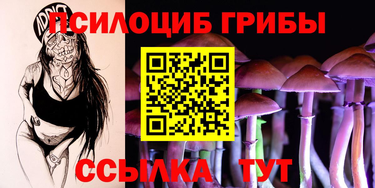 Галлюциногенные грибы Psilocybine cubensis  Вход с VPN  Псилоцибиновые грибы мухоморы  Горячий Ключ 